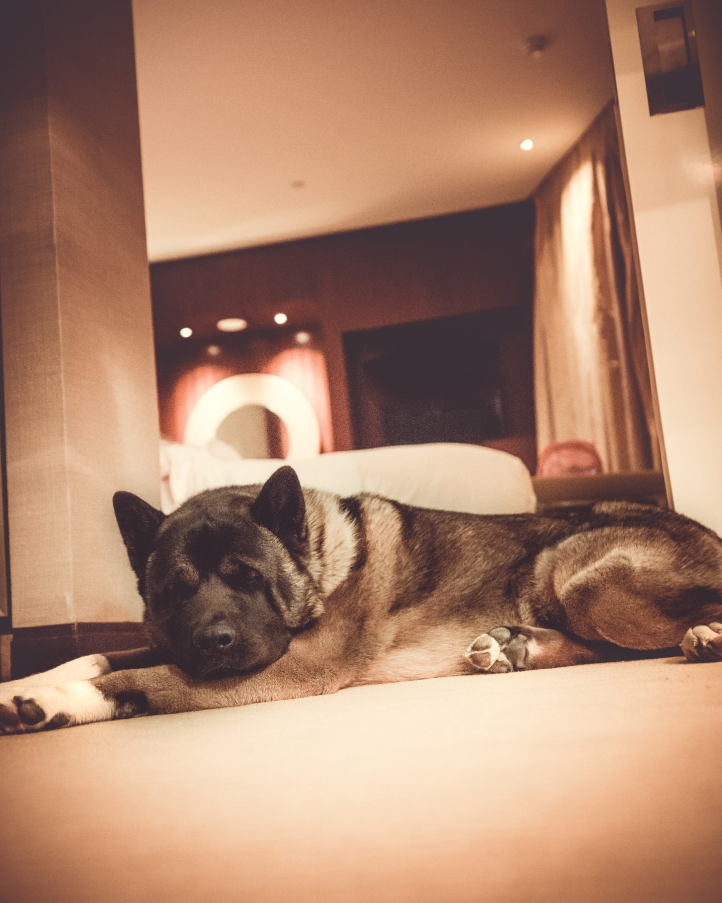 Jdjd Malcolmtheakita jdjd-malcolmtheakita