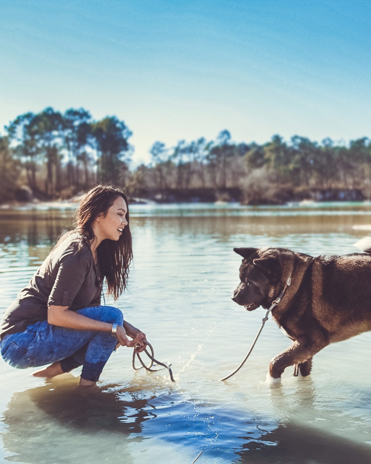 Les meilleurs lieux de promenade et spots de baignade à découvrir avec son chien en Gironde